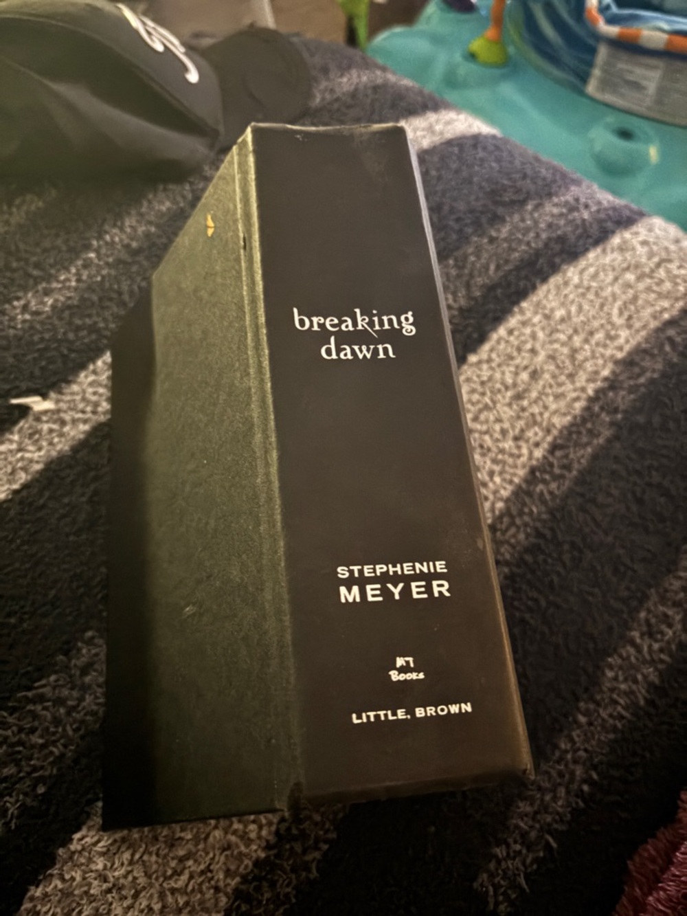 Breaking Dawn by Stephenie Meyer (Twilight Book 4)